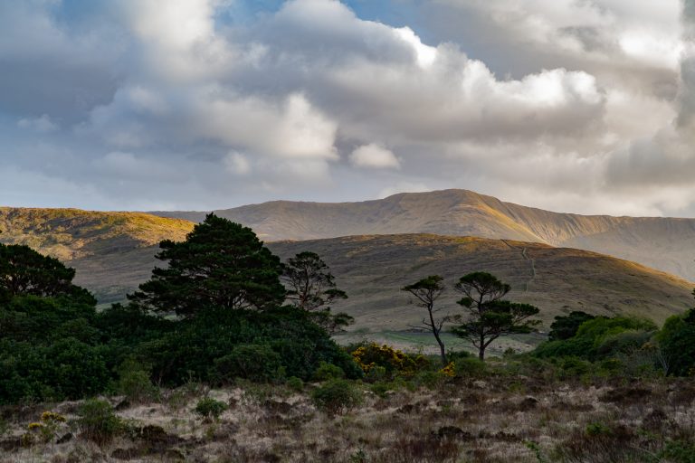 aashliegh-falls-mayo-tour-6309
