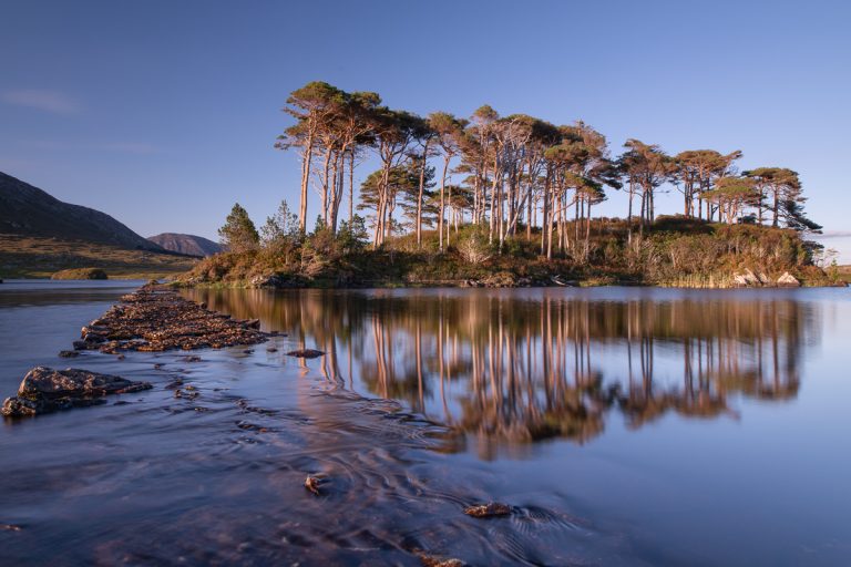 galway-pine-island-7155